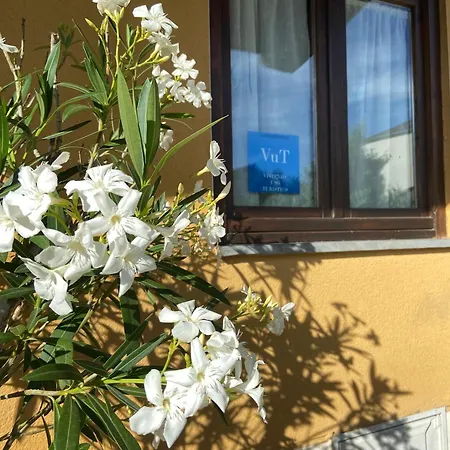 La Casita De Vinales Semesterbostad